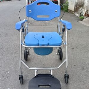 Ghế bô vệ sinh Lucass C301
